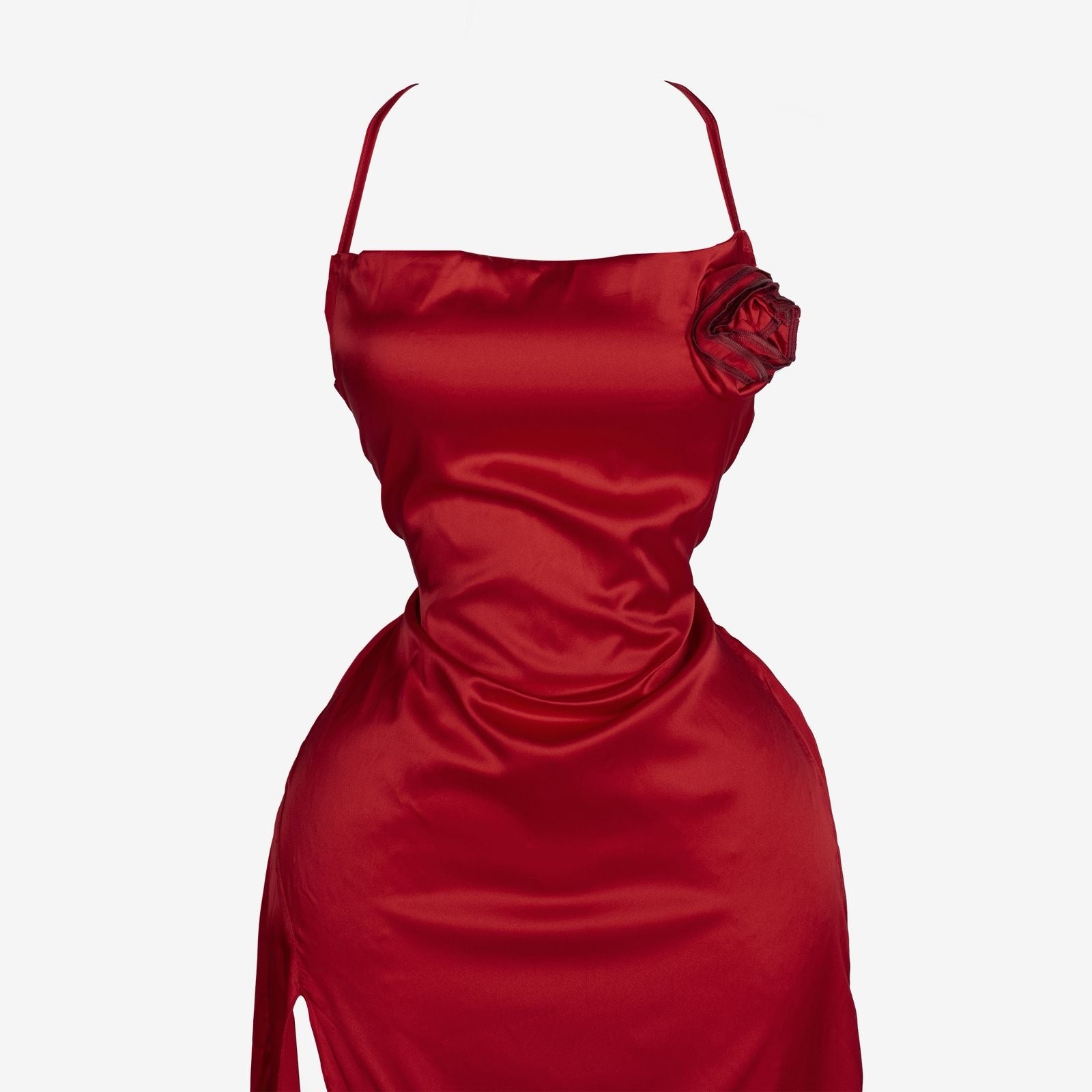 Velvet Crimson Rose Allure